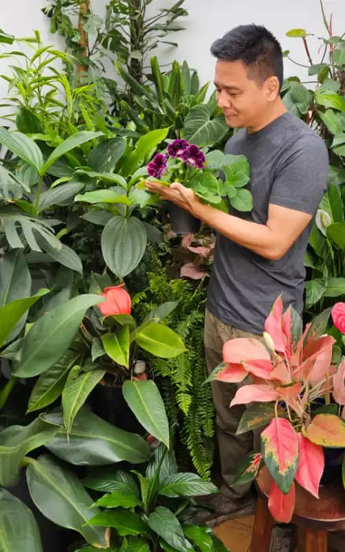 Gaspar cuidando de uma planta florida em vaso