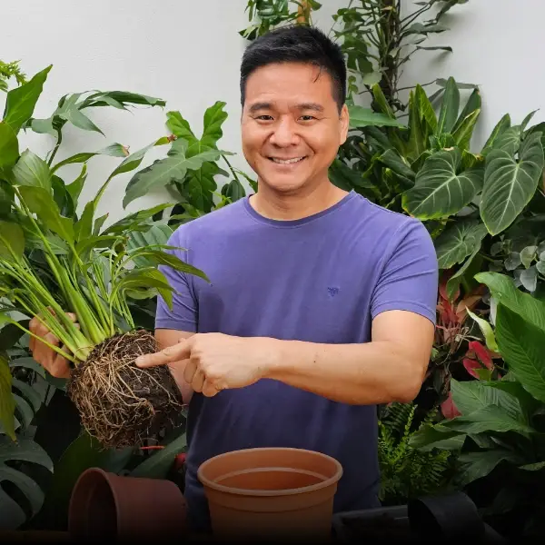 Gaspar Yamasaki sorrindo, segurando uma planta com raízes expostas ao lado de um vaso, cercado por folhagens